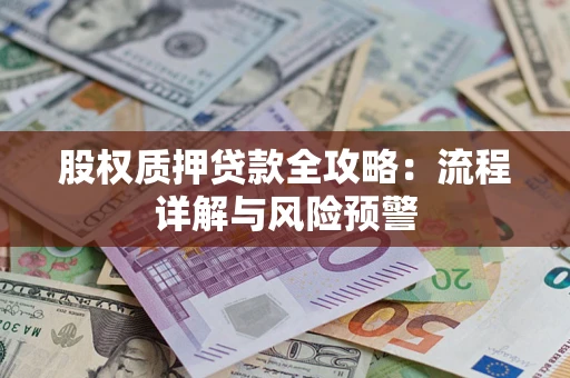 北京股权质押贷款全攻略：流程详解与风险预警