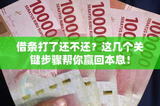 北京借条打了还不还？这几个关键步骤帮你赢回本息！