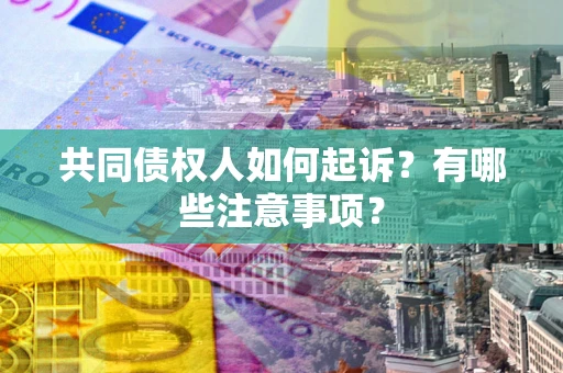 北京共同债权人如何起诉？有哪些注意事项？
